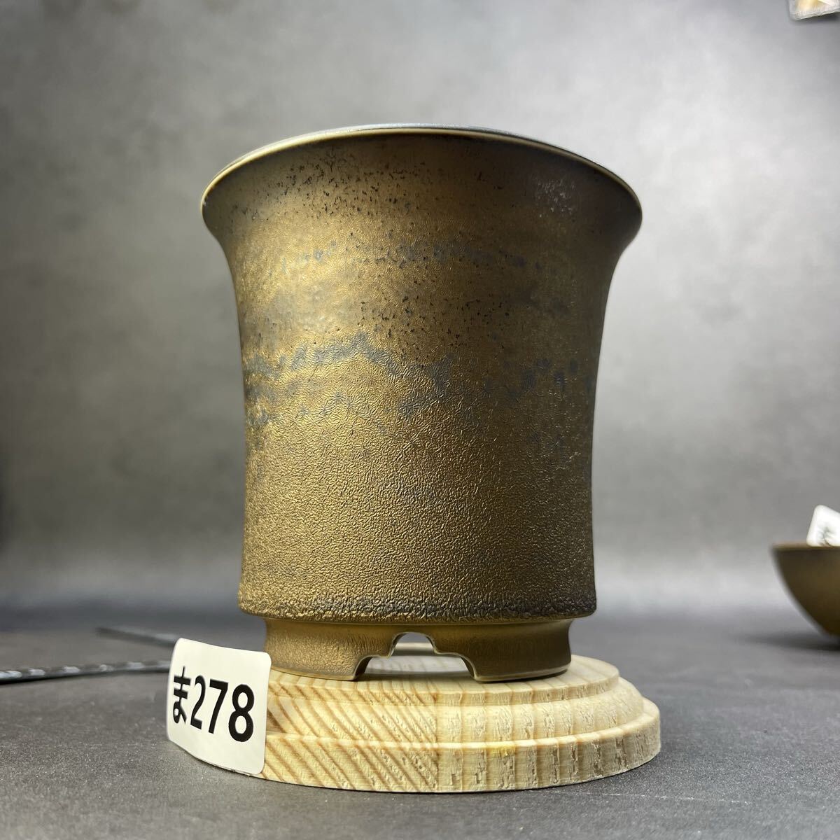 ま278 HAND Made 植木鉢 陶器検(アガベ パキプス 姫巌竜 帝釈天 黒火焔 factory SRL カタチ製作所 グラキリス 塊根植物 亀甲竜_画像5