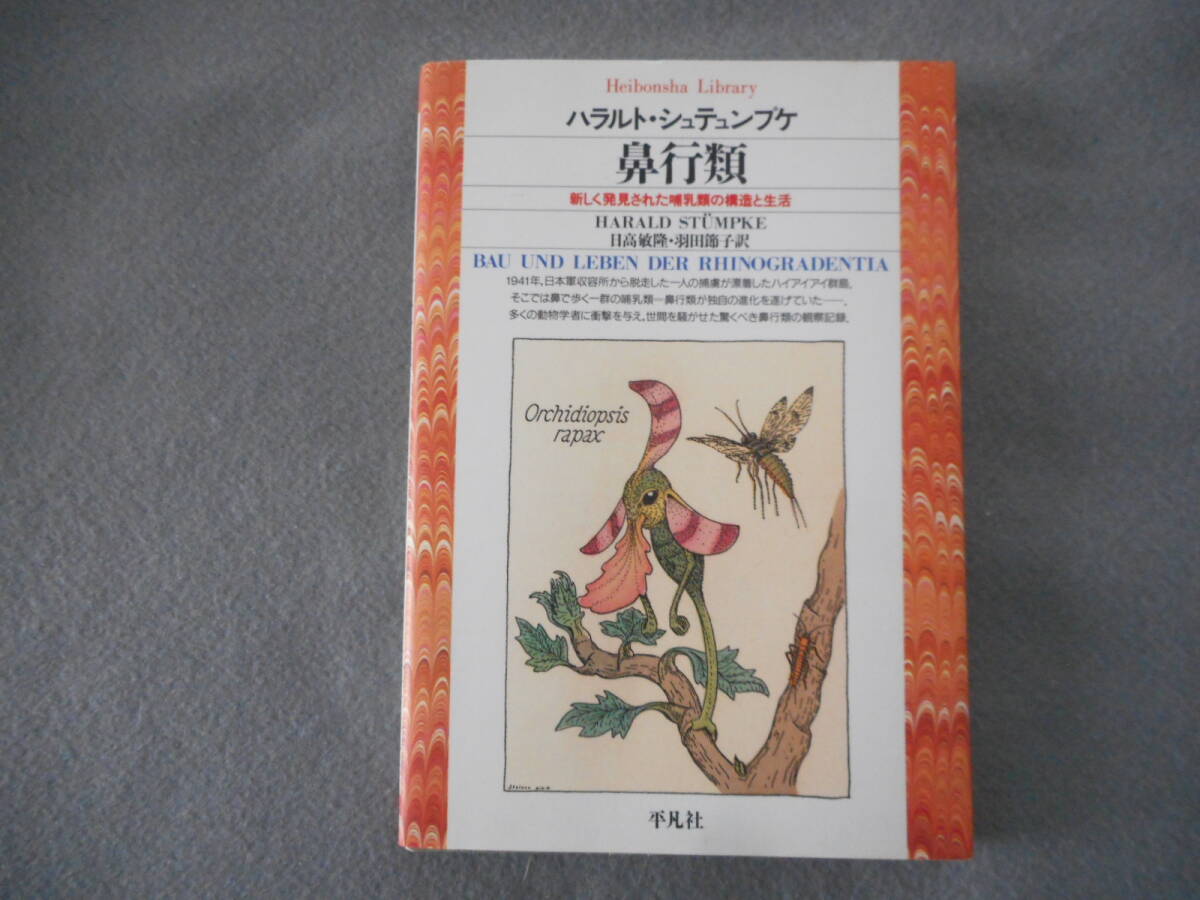 シュテュンプケ：「鼻行類」：新しく発見された哺乳類の構造と生活：平凡社ライブラリー_画像1