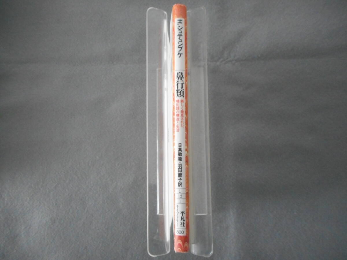 シュテュンプケ：「鼻行類」：新しく発見された哺乳類の構造と生活：平凡社ライブラリー_画像2