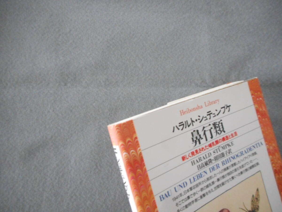 シュテュンプケ：「鼻行類」：新しく発見された哺乳類の構造と生活：平凡社ライブラリー_画像5