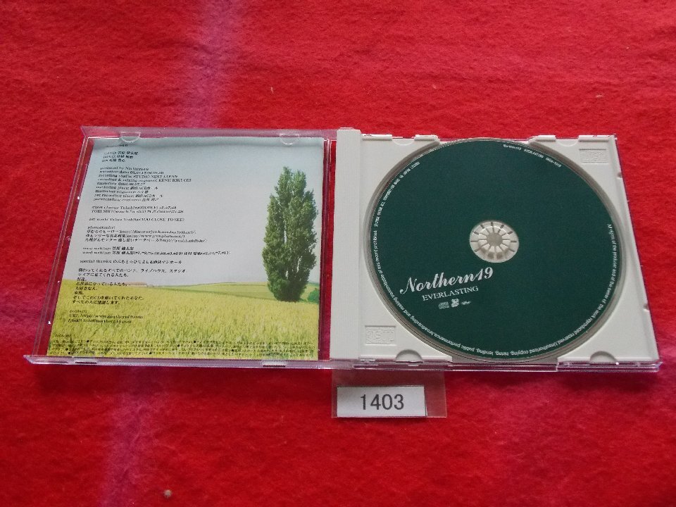 CD／Northern19／EVERLASTING／ノーザン19／エヴァーラスティング／管1403_画像2