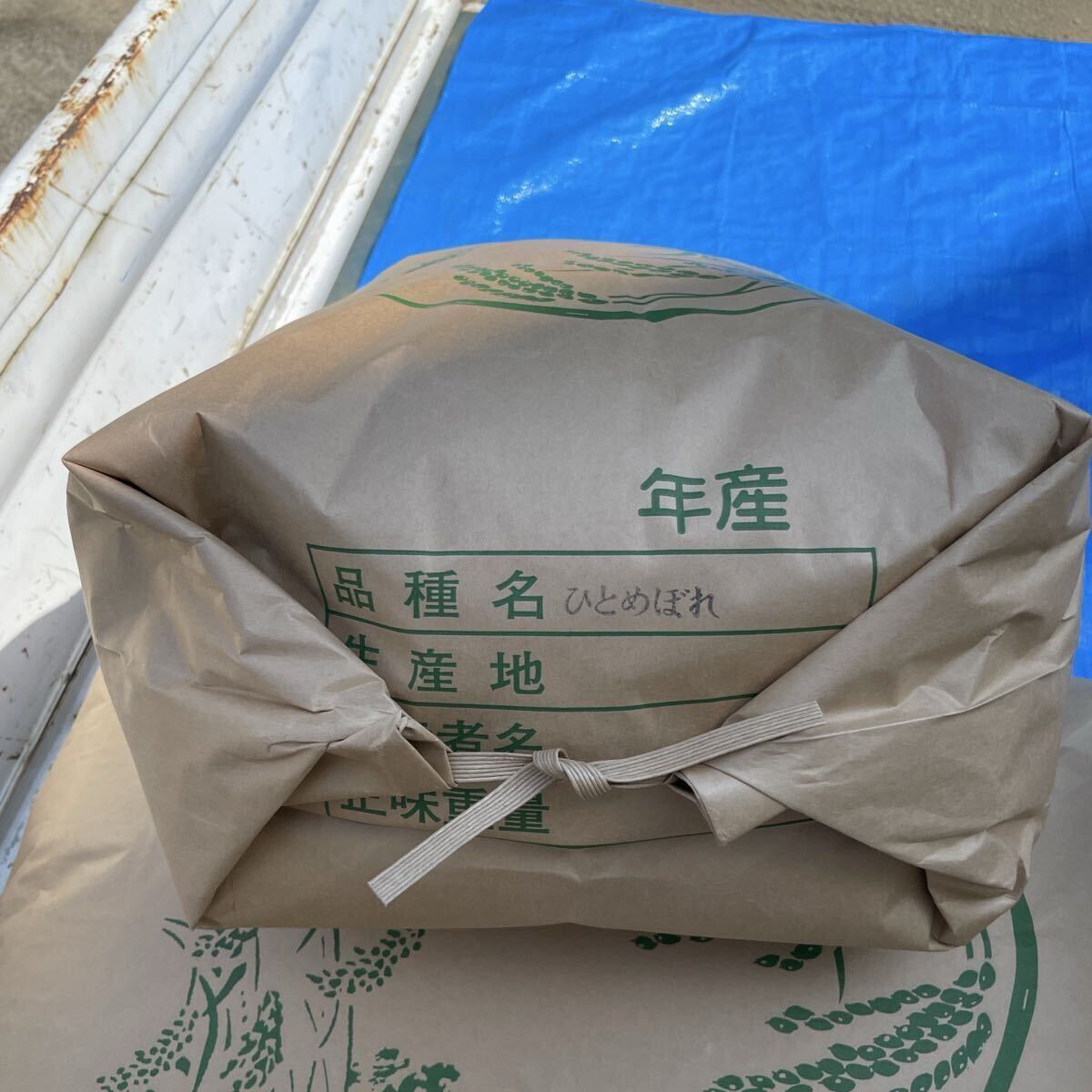 令和7年度産　ひとめぼれ　新米