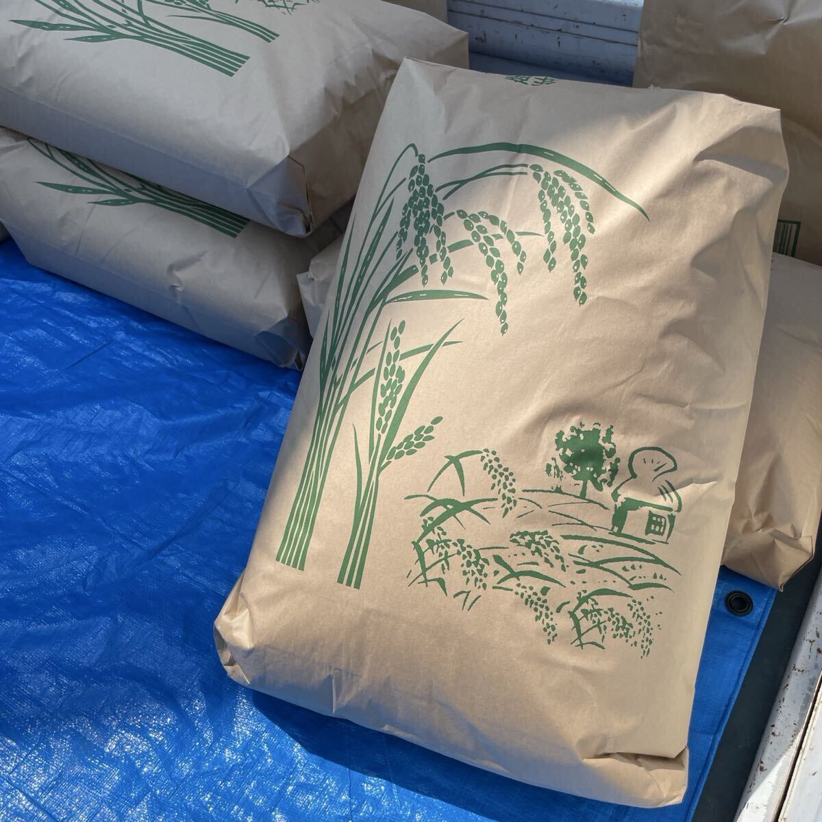 令和7年度産　ひとめぼれ　新米