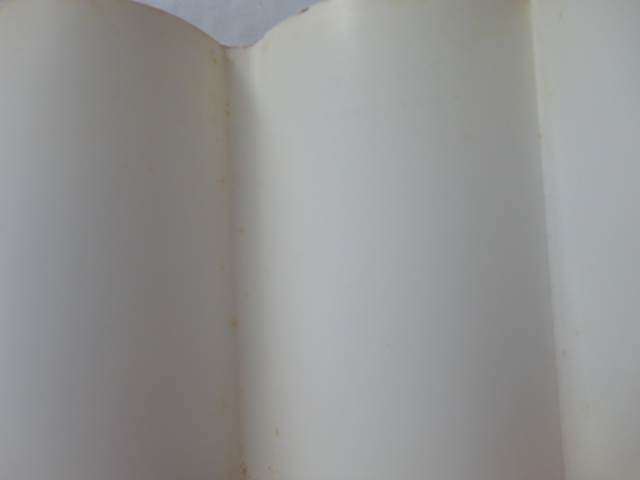 『ラディゲ詩集　双書・２０世紀の詩人１６』江口清訳・窪田般彌編　平成６年　初版カバー帯　小沢書店_画像4