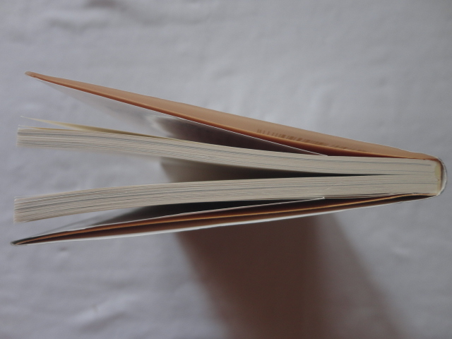 文春文庫『惑いの森』中村文則　平成３０年　初版　文藝春秋_画像10