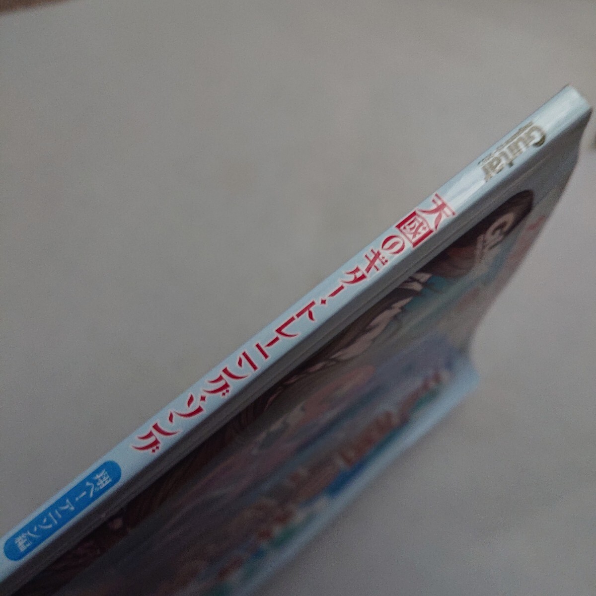 天国のギター・トレーニング・ソング 翔べ!アニソン編_画像3