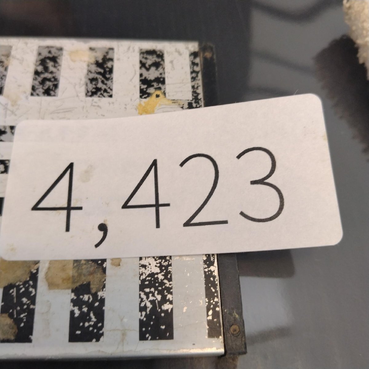 4423 「塊根植物」パキポディウム グラキリスM 抜き苗【最新到著?根切確認(rèn)済? Pachypodium gracilius?多肉植物】