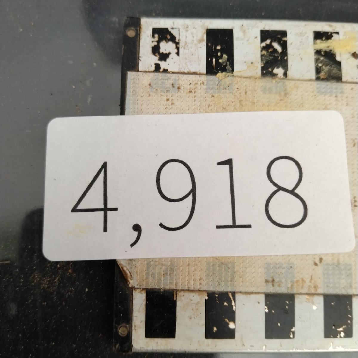 4918 「塊根植物」ステファニア カウィーサキー 抜き苗【畑地植え株?芽吹き?Stephania kaweesakii?凸凹株】