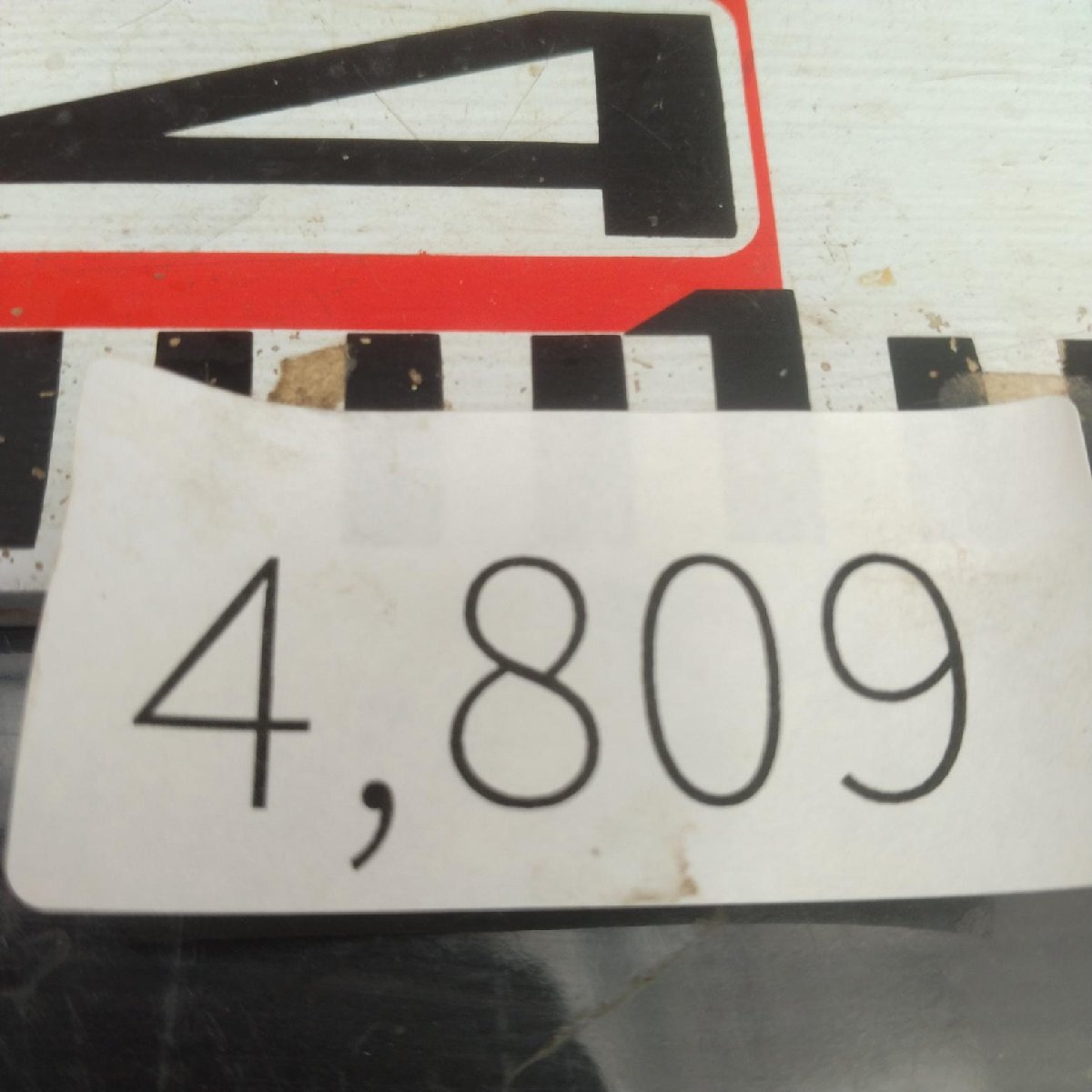 4809 「塊根植物」パキポディウム グラキリスM 抜き苗【最新到著?根切確認済? Pachypodium gracilius?多肉植物】