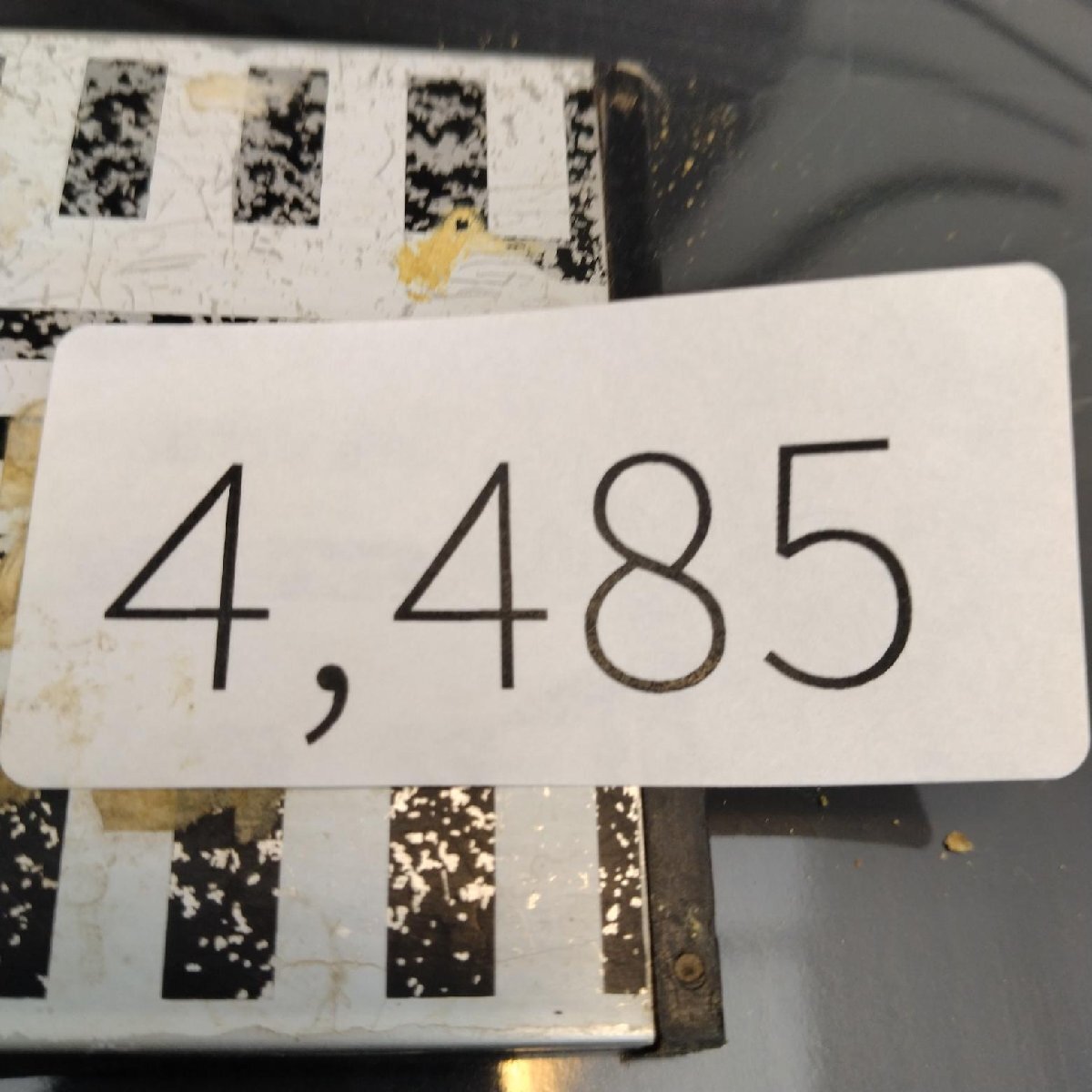 4485 「塊根植物」パキポディウム グラキリスM 抜き苗【最新到著?根切確認(rèn)済? Pachypodium gracilius?多肉植物】