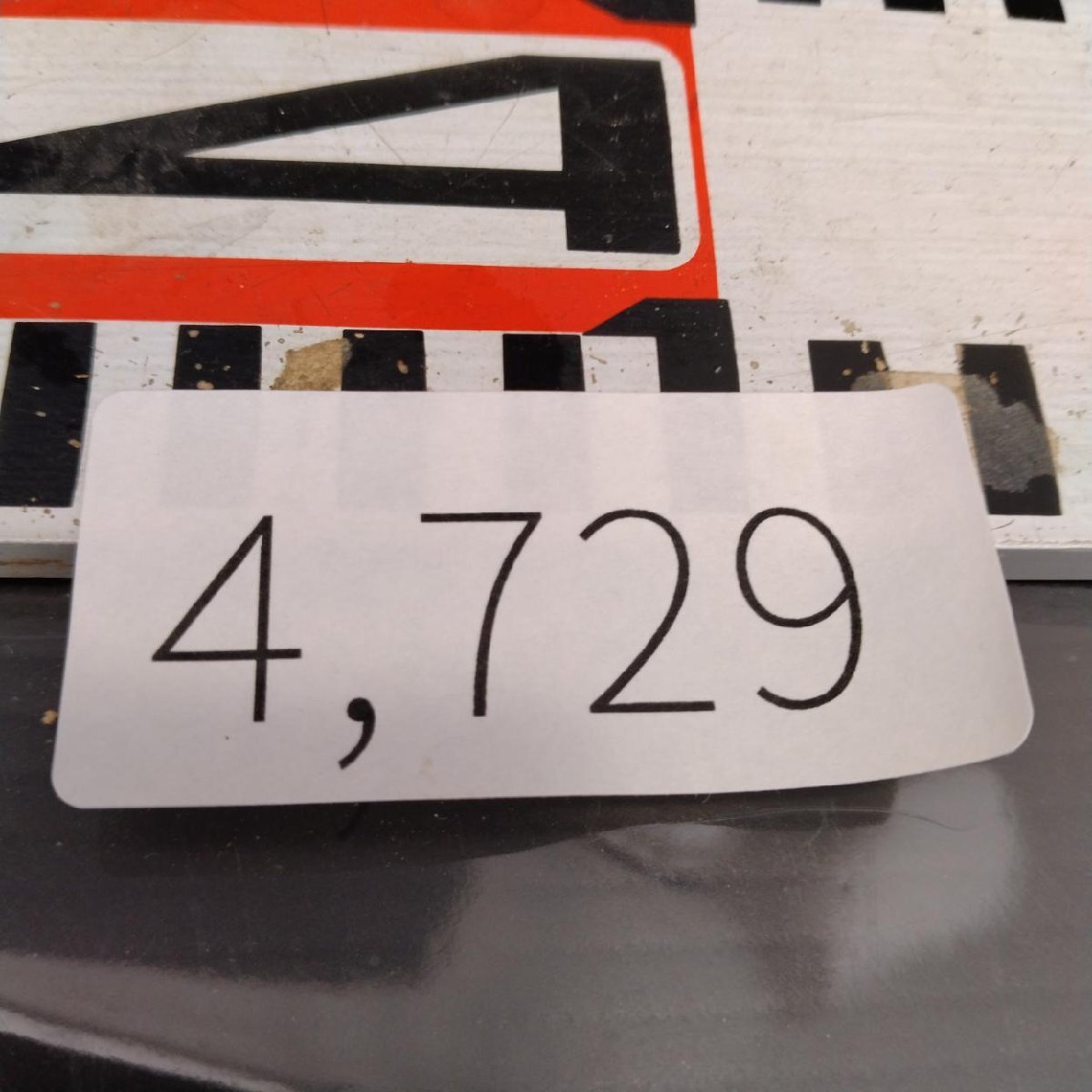 4729 「塊根植物」パキポディウム グラキリスM 抜き苗【最新到著?根切確認済? Pachypodium gracilius?多肉植物】