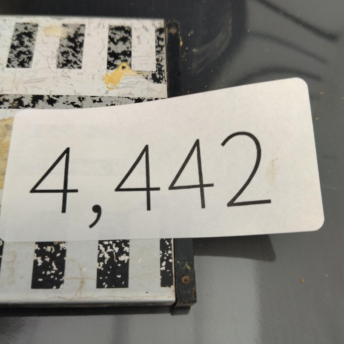 4442 「塊根植物」パキポディウム グラキリスM 抜き苗【最新到著?根切確認(rèn)済? Pachypodium gracilius?多肉植物】