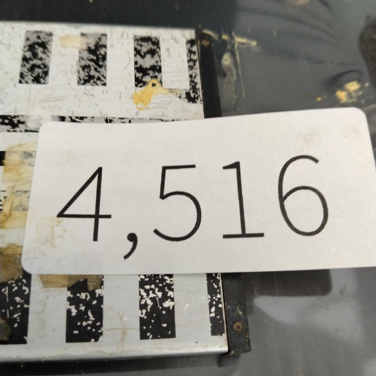 4516 「塊根植物」パキポディウム グラキリスM 抜き苗【最新到著?根切確認済? Pachypodium gracilius?多肉植物】