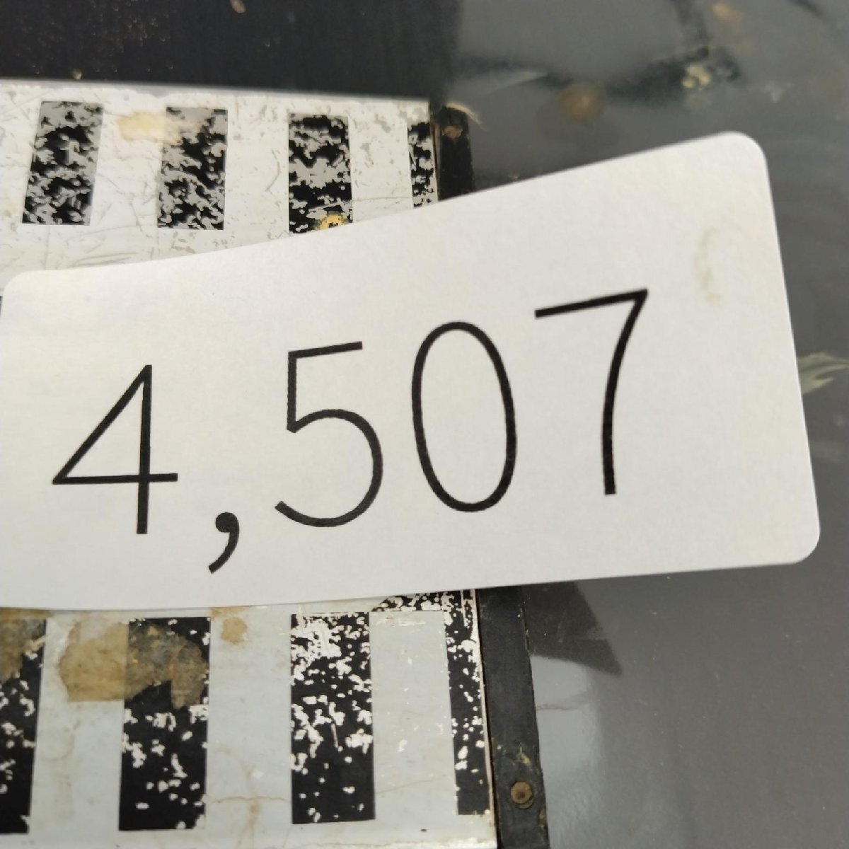 4507 「塊根植物」パキポディウム グラキリスM 抜き苗【最新到著?根切確認(rèn)済? Pachypodium gracilius?多肉植物】