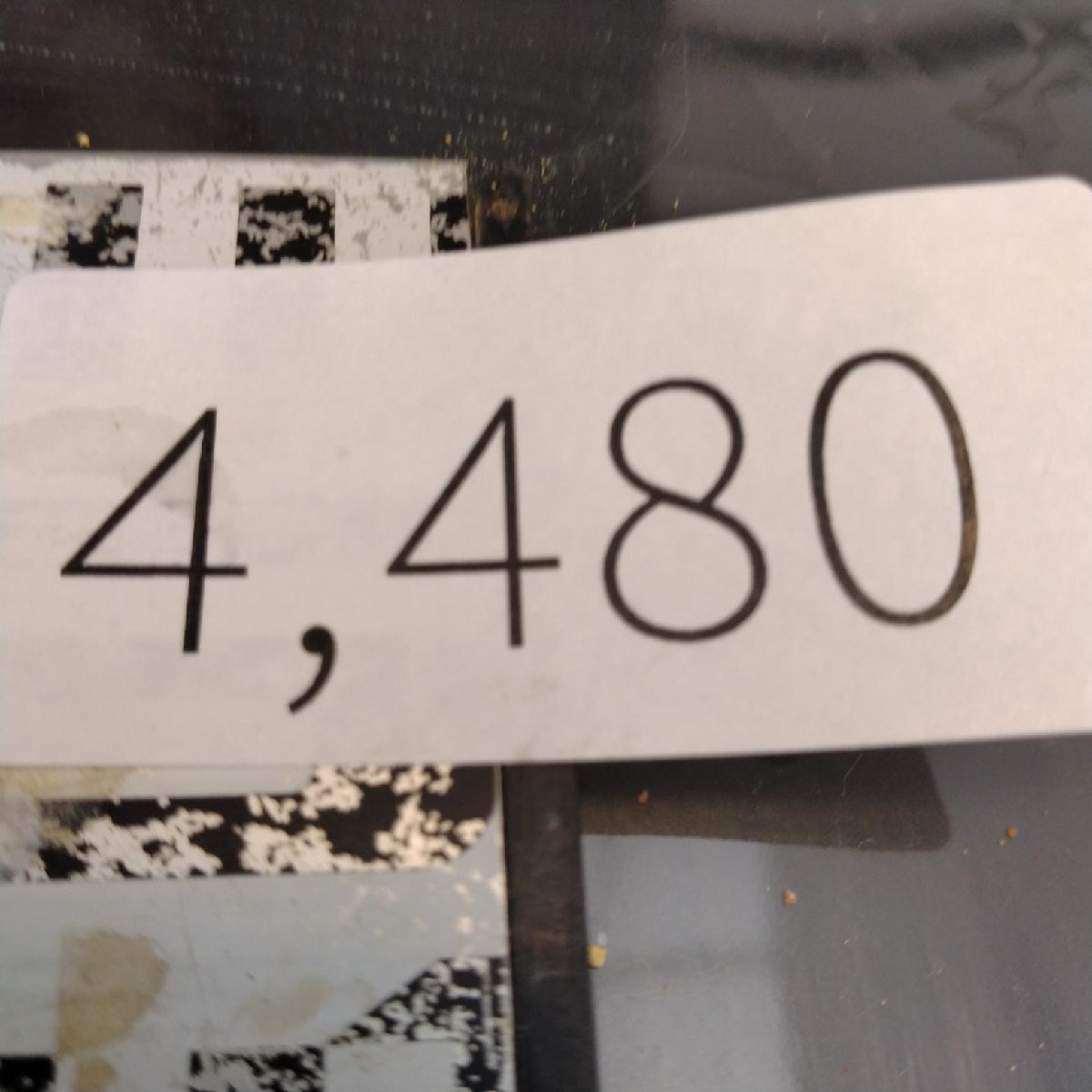 4480 「塊根植物」パキポディウム グラキリスM 抜き苗【最新到著?根切確認(rèn)済? Pachypodium gracilius?多肉植物】