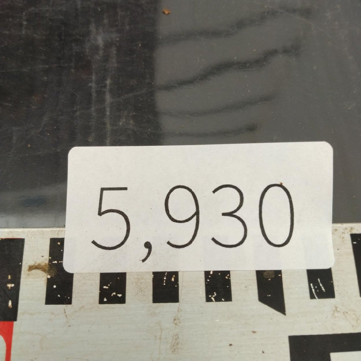 5930 「多肉植物」ユーフォルビア ギラウミニアナ　抜き苗【9/28最新到著?Euphorbia guillauminiana?マダガスカル?塊根植物】