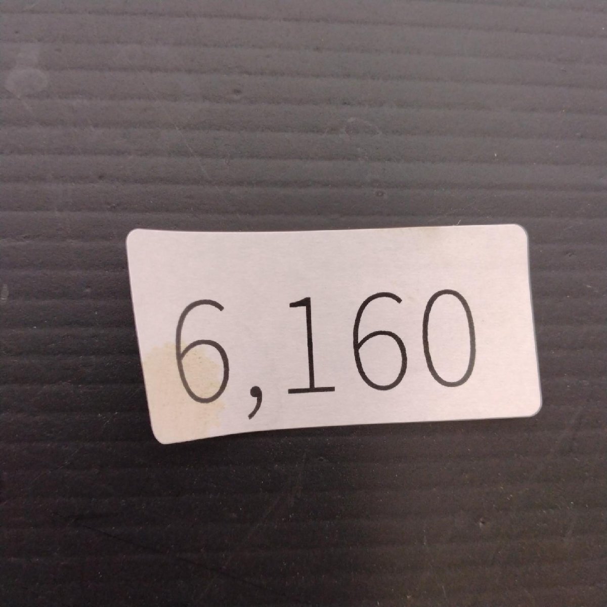 6160 「塊根植物」パキポディウム グラキリスL 抜き苗【9/28最新到著?根切確認(rèn)済? Pachypodium gracilius?多肉植物】