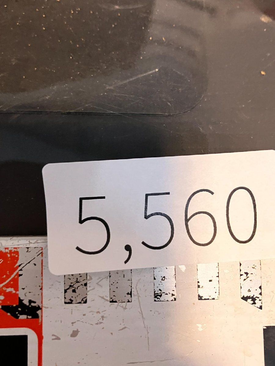 5560 「多肉植物W」ステノセレウス ベネッケイ 植え【雷斧閣?Stenocereus Beneckei?美株?サボテン】