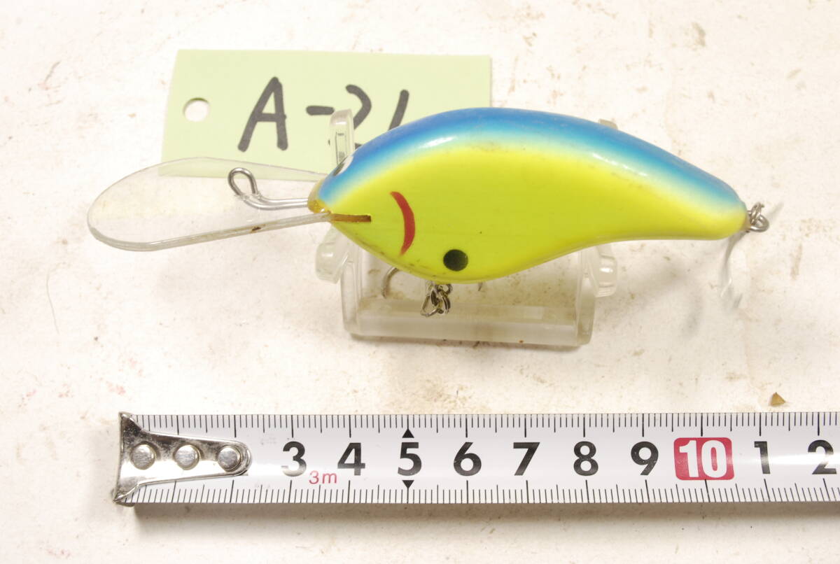 フラットシャッドベイツ　1個　A-21_画像1