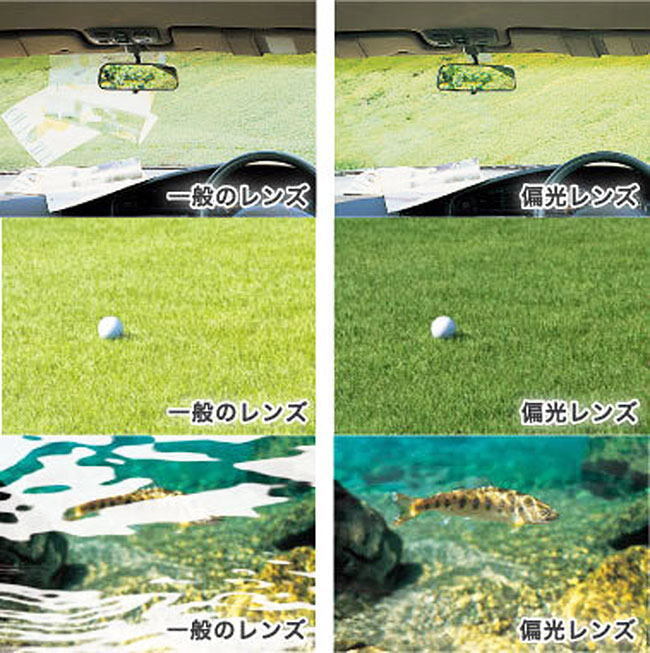 【ケース付】偏光サングラス Coleman コールマン ウェイファーラー polarized sunglasses サングラス Co3075-2._画像5