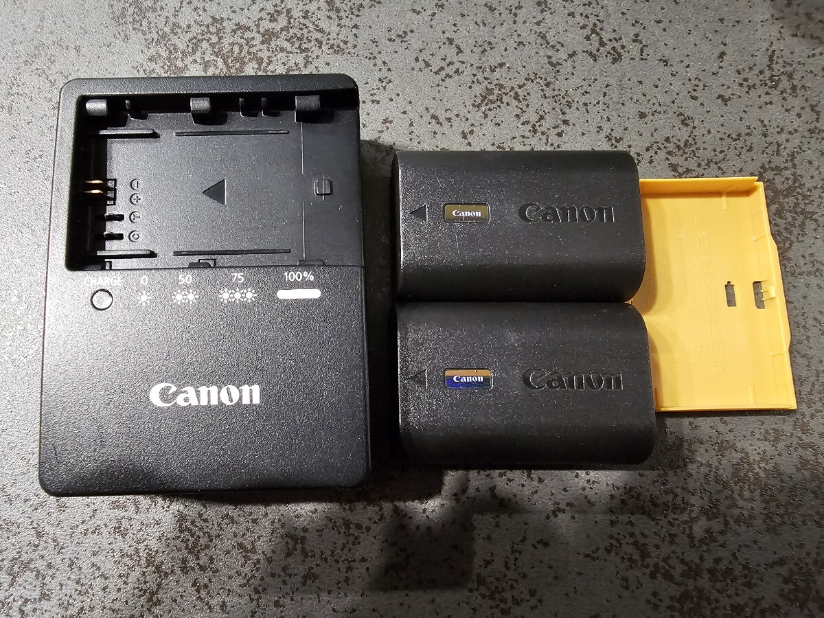 CANONEOS R6 RF24-105 IS STM レンズキット