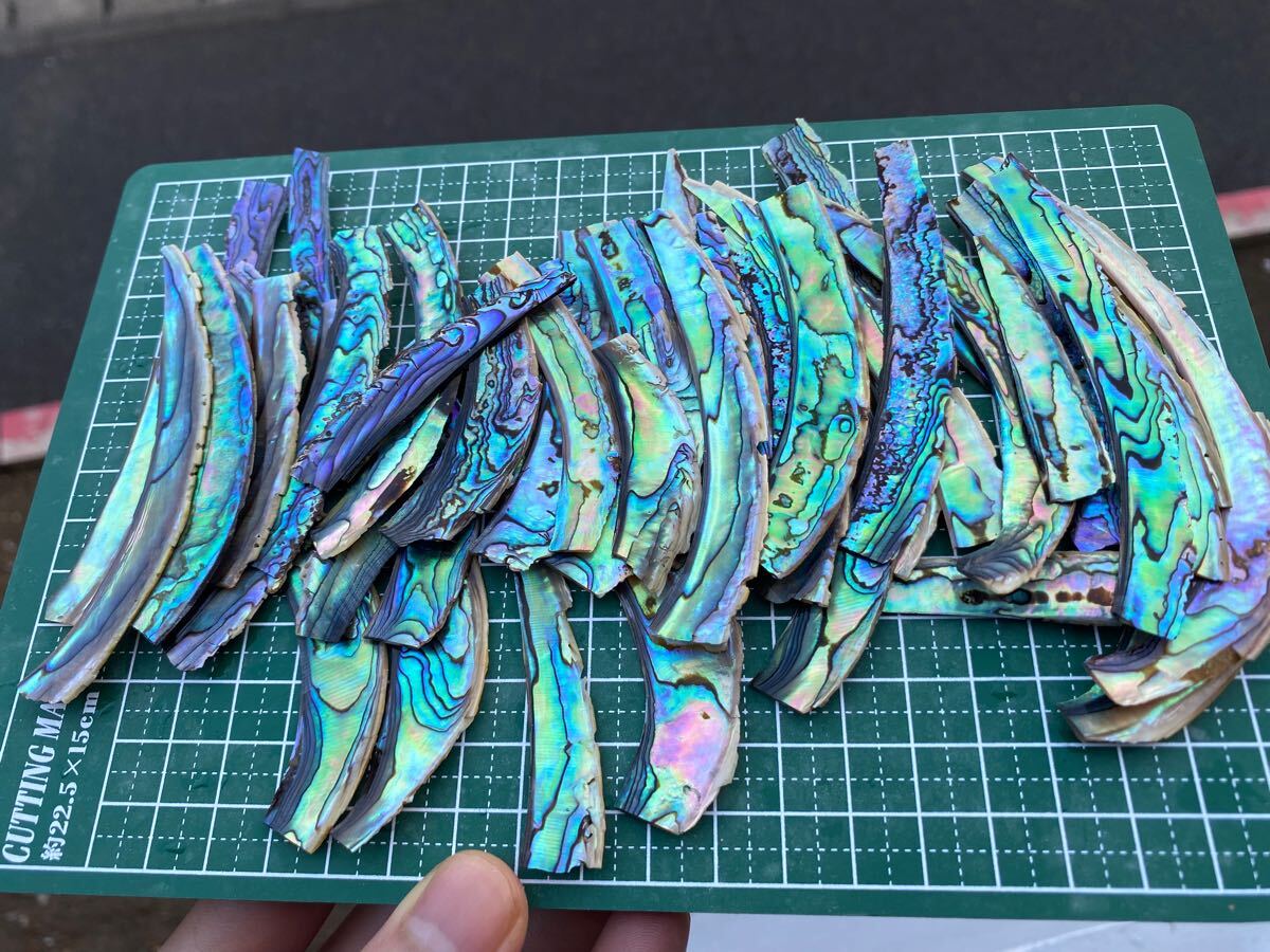 アワビ貝 ニュージーランド産 15枚セット 螺鈿細工 ハンドメイド ハンドクラフト ルアー付き ネイル用シェルパーツ 材料_画像1