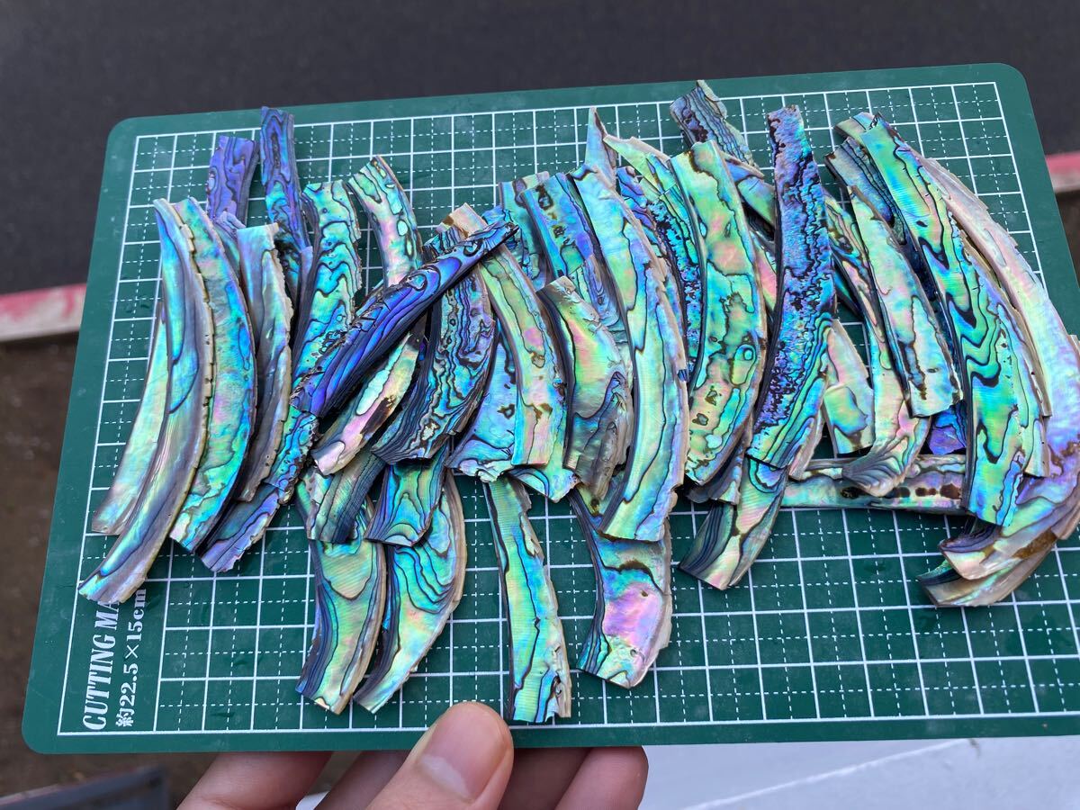 アワビ貝 ニュージーランド産 15枚セット 螺鈿細工 ハンドメイド ハンドクラフト ルアー付き ネイル用シェルパーツ 材料_画像2
