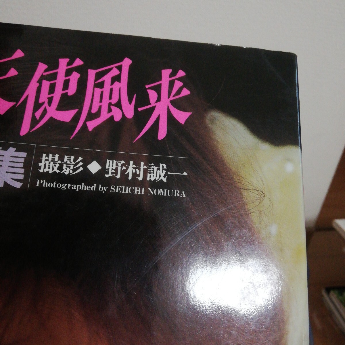 南野陽子 寫真集「生ままの天使風來」