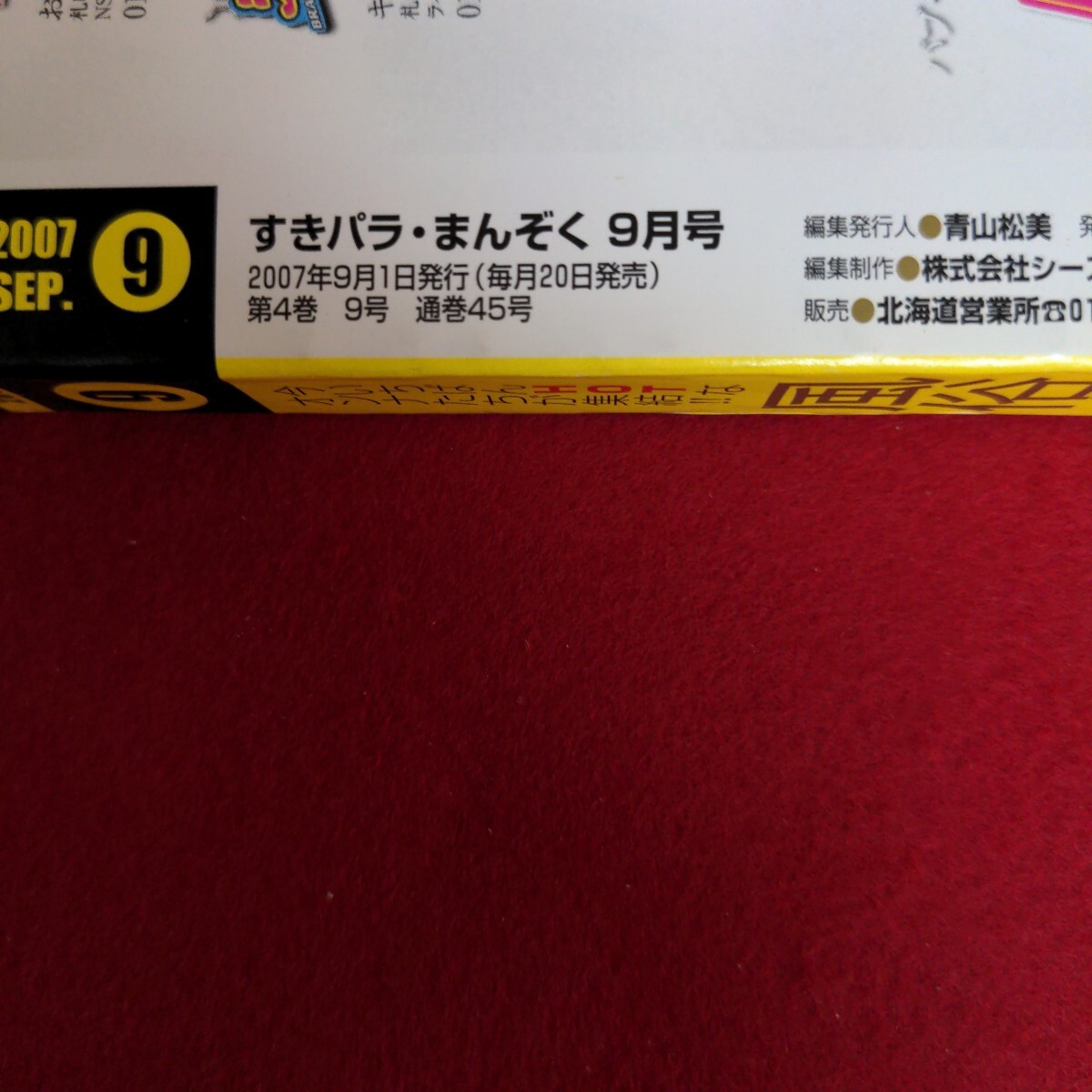 Fa-294/すきパラまんぞく 2007年9月号 vol.45　思わせぶりな水着小悪魔 浴衣なでしこ53人 ケツシメイ2/L2/70924_画像3