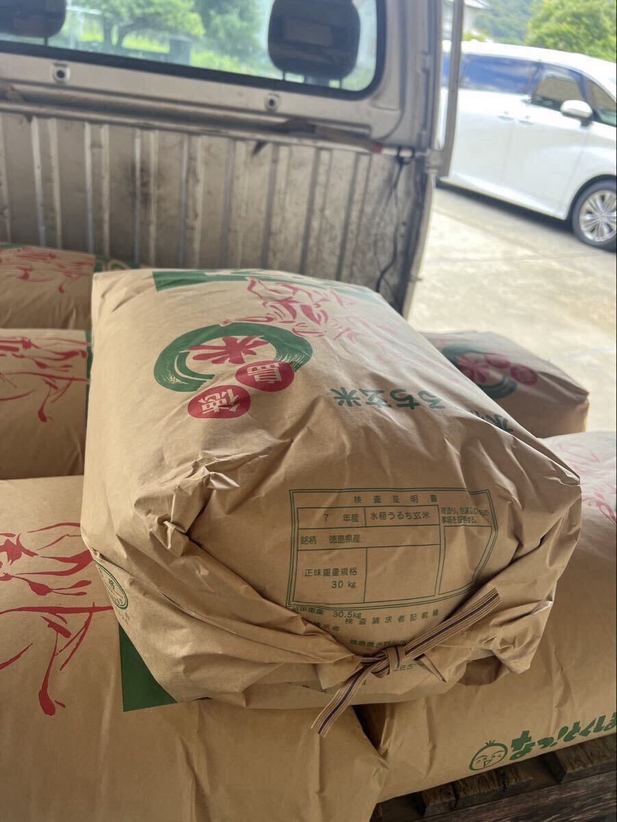 令和7年　徳島県産　あきさかり　新米になります。玄米30キロ #あきさかり　#新米　#米 