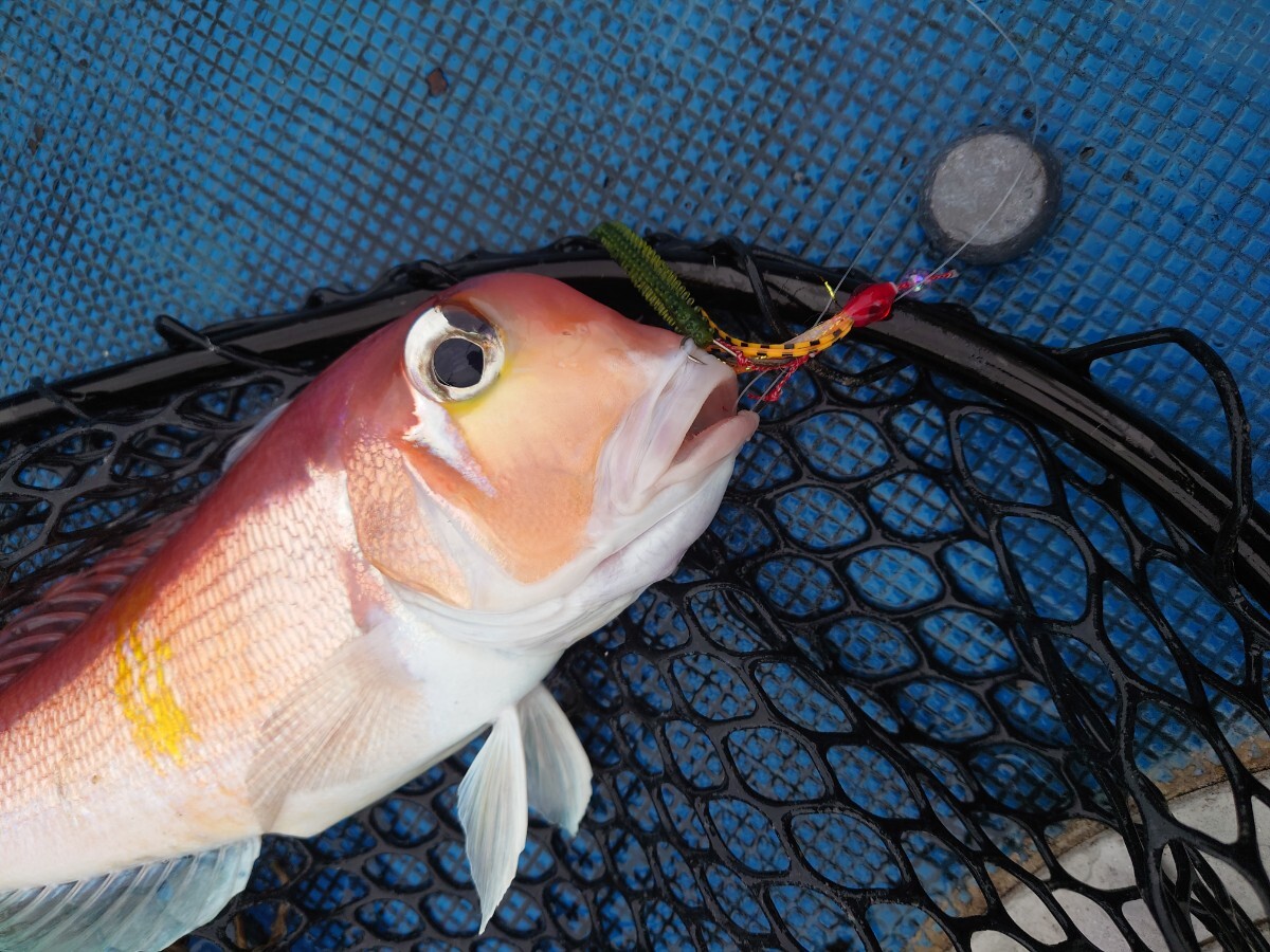 ☆☆タイラバ ユニット新しい鯛ラバネクタイ(リアル魚眼3Dアイ仕様)零◆ロックフィッシュリグ◆フック付き◆5匹セット即日発送！八☆☆_画像6