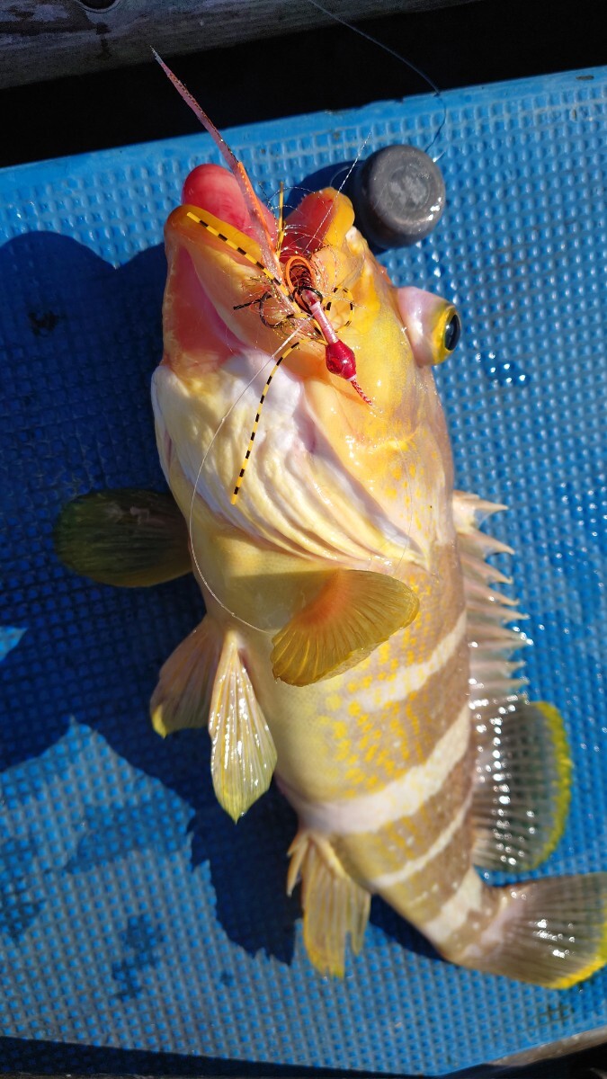 ☆☆タイラバ ユニット新しい鯛ラバネクタイ(リアル魚眼3Dアイ仕様)零◆ロックフィッシュリグ◆フック付き◆5匹セット即日発送！八☆☆_画像7