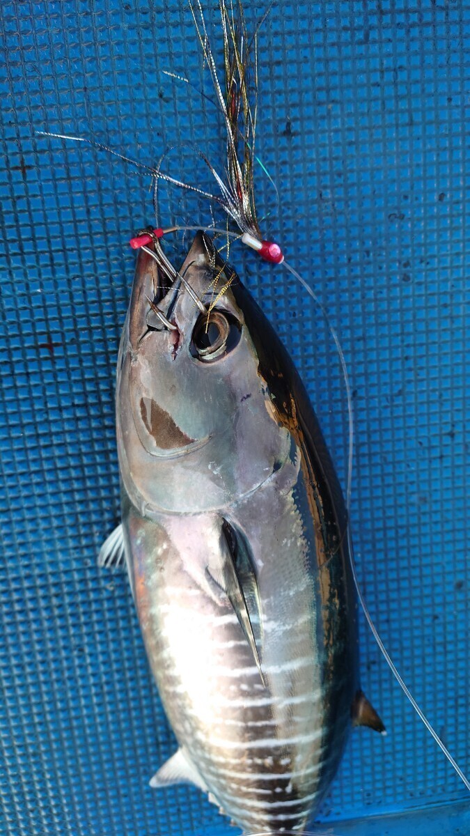 ☆☆タイラバ ユニット新しい鯛ラバネクタイ(リアル魚眼3Dアイ仕様)零◆ロックフィッシュリグ◆フック付き◆5匹セット即日発送！八☆☆_画像10