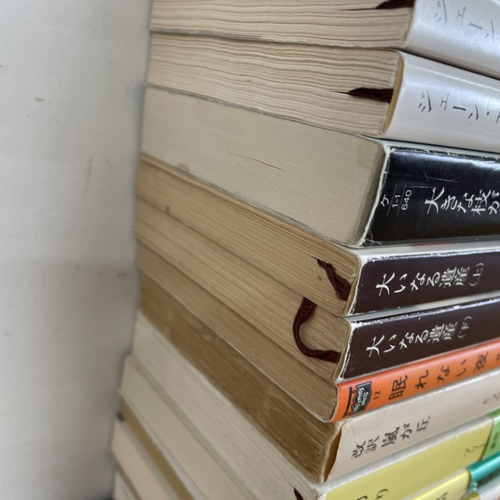 ▲01)【1点限り!】ミステリー・雑学など 文庫本まとめ売り約50冊大量セット/小説/文学/文芸/アガサ・クリスティー/長編/池波正太郎/B_画像5