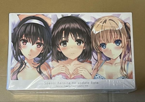 [.. нет она. ....] героиня Complete Dakimakura BOX стандартный товар 