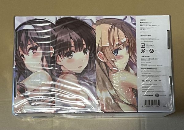 [.. нет она. ....] героиня Complete Dakimakura BOX стандартный товар 