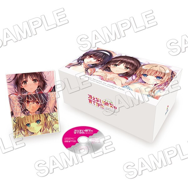 [.. нет она. ....] героиня Complete Dakimakura BOX стандартный товар 