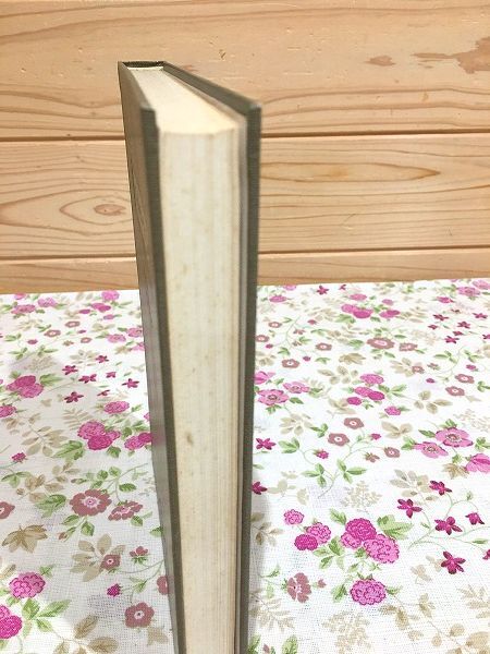 k9/写真及び光化学 菊池真一 小寺嘉秀 友田宜忠 誠文堂新光社_画像5