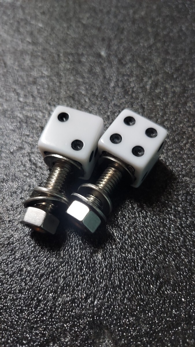 汎用 ナンバーボルト サイコロ ステンレス 水中花 ムーンアイズ マーシャル ハイエース ZX ZR ZOOMER シャリー ダックス カブ モンキー VT_画像3