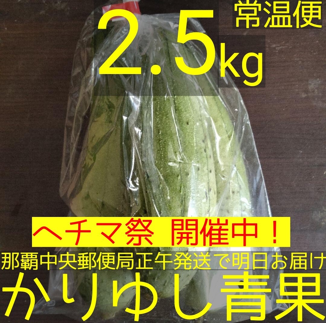 〈へちま祭開催中！〉沖縄県産ナーベラー（ヘチマ）Ｂ品 約2.5kg【常溫便】②