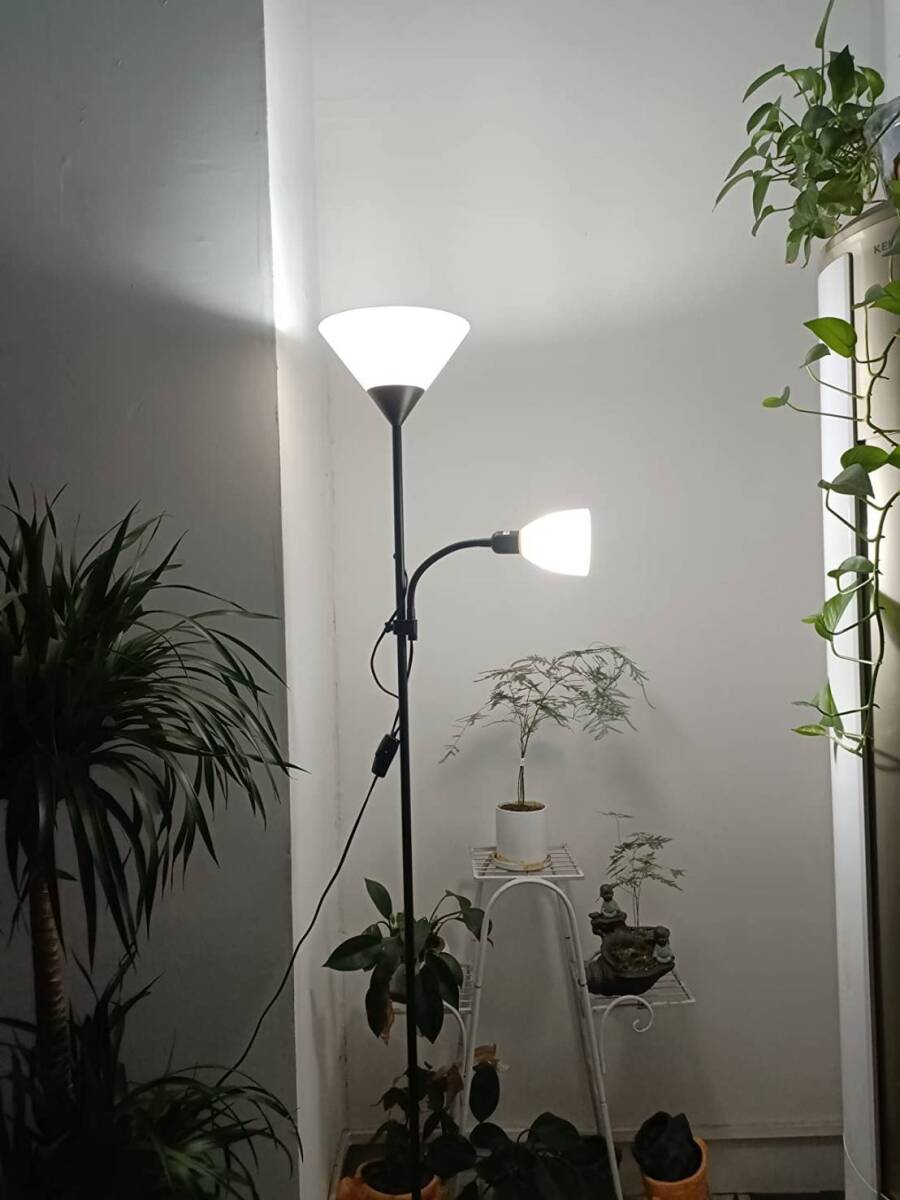 おしゃれなブラックフロアランプ / LEDスタンドライト / シンプルでスタイリッシュなトーチ型