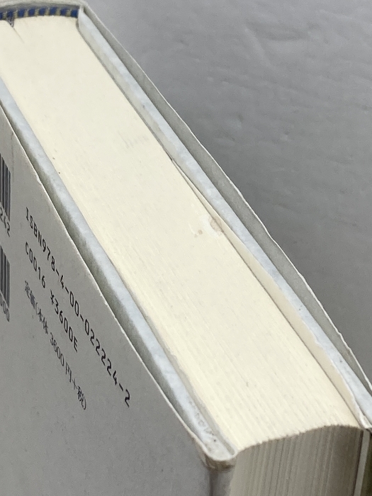 ヴァイマールの聖なる政治的精神――ドイツ・ナショナリズムとプロテス