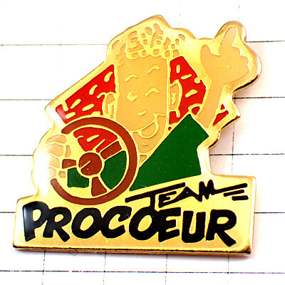  значок * автомобиль руль ...1 номер команда * Франция ограничение булавка z* редкость . Vintage было использовано булавка bachi