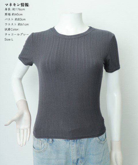 無地Tシャツ 半袖 カットソー 薄手 オフィスカジュアル シンプル カットソー レディース L ホワイト