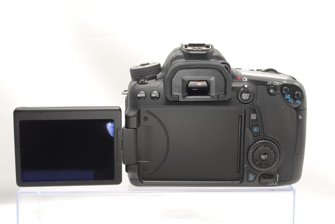 初心者おすすめ　Wi-Fi内蔵　高速連写　Canon EOS 70D 超望遠ダブルレンズキット　動作良品　スポーツ観戦　野鳥撮影　子供のイベント_画像5