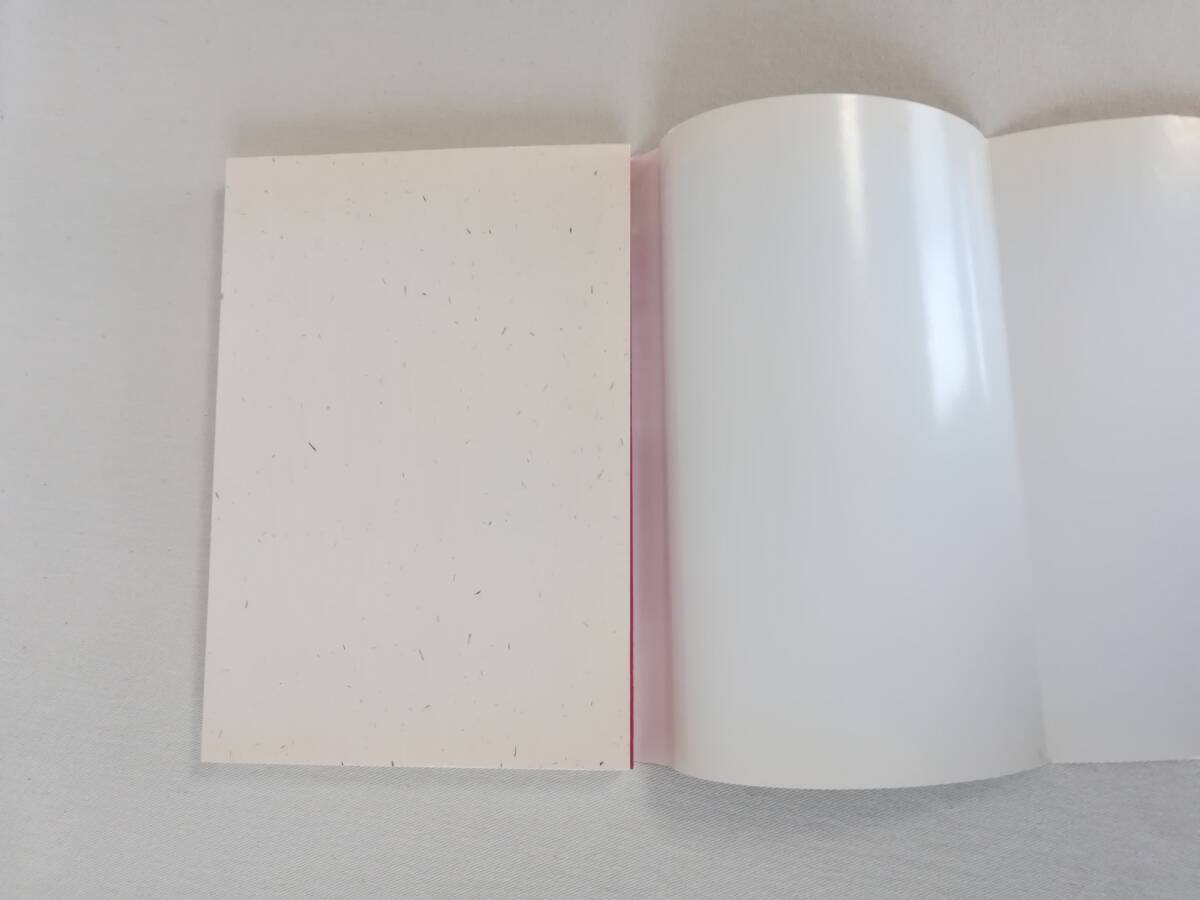 Bさ 快!撮!アジア旅の写真術 日比野宏著 1997年 初版 新評論 基礎知識一夜漬け 旅の機材は最小限に ちょっとしたカメラ術_画像6