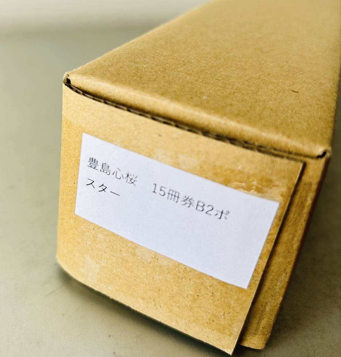 豊島心桜 週刊プレイボーイ表紙記念オンラインサイン会 B2サイズポスター_画像3