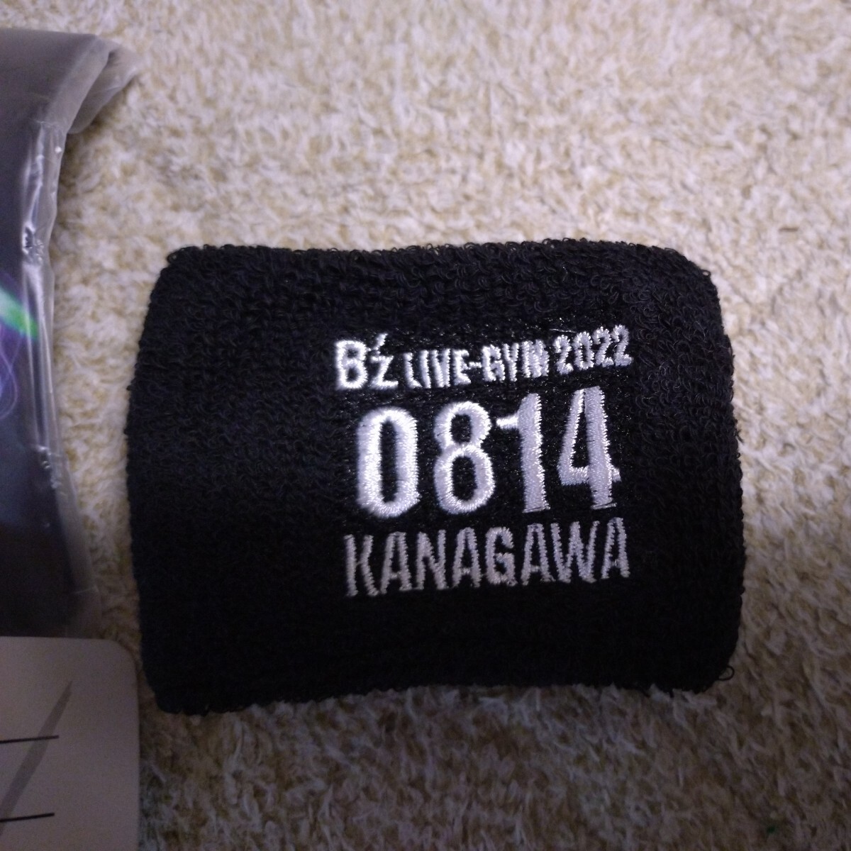 B'z LIVE-GYM 2022 Highway X會(huì)場(chǎng)限定ガチャガチャ リストバンドぴあアリーナMM8月14日振替公演分 神奈川 橫浜 千秋楽 ラゲージタグ ガチャ