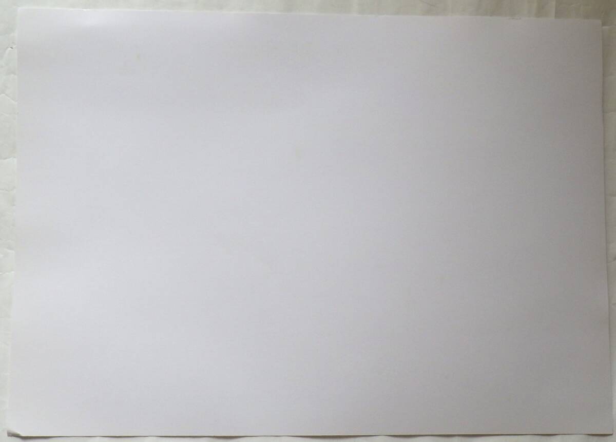 原田泰治 オフセット印刷 「ミズバショウ」  _画像2