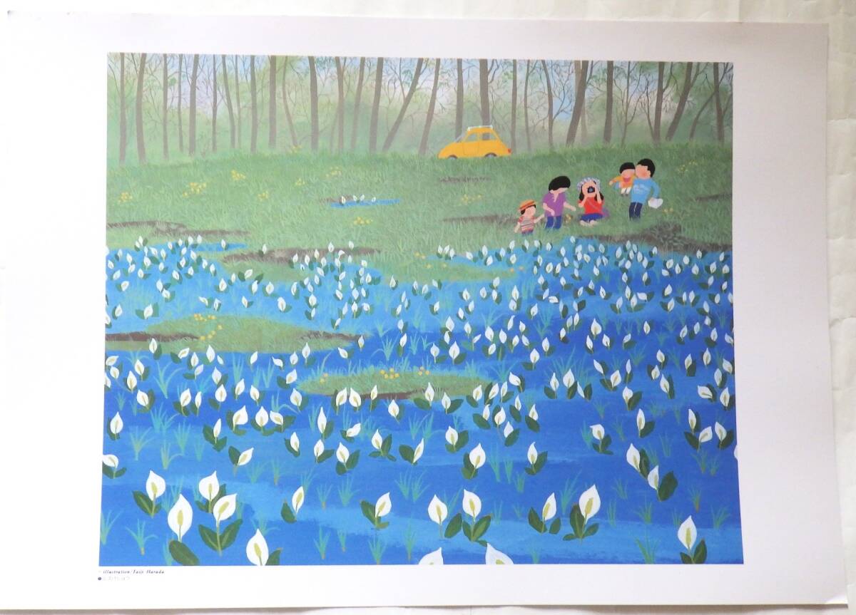 原田泰治 オフセット印刷 「ミズバショウ」  _画像1
